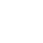 SentinelOne Logo White